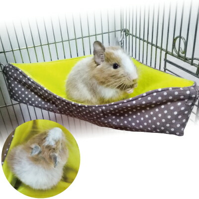 楽天市場】デグー コーナーハンモックベッド 秋冬用 Lサイズ(22×22cm