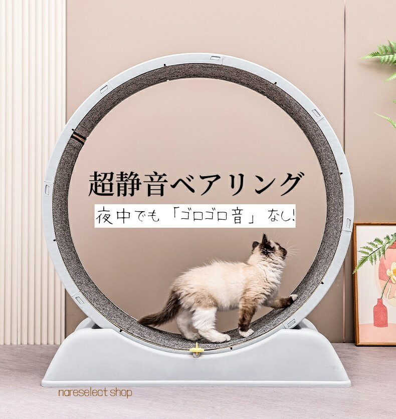 楽天市場】【送料無料】キャットホイール 猫用ランニングマシン 回し車