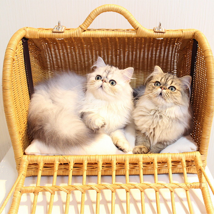 楽天市場】【送料無料】Sincere Japan ラタンキャリーマイン M【猫用品