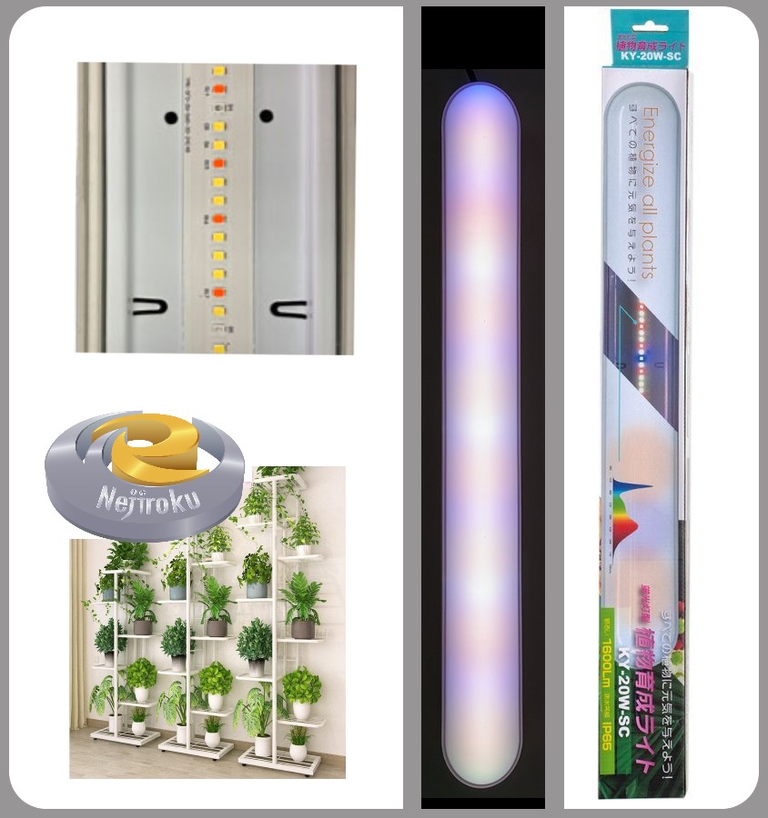 富士の輝き 富士の輝き 管球4種類80本 富士の輝き 管球4種類