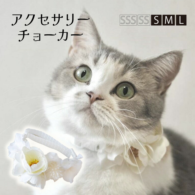 短毛シュシュつまみ細工(紫)わんちゃん猫ちゃん用 短毛シュシュ(ブルー