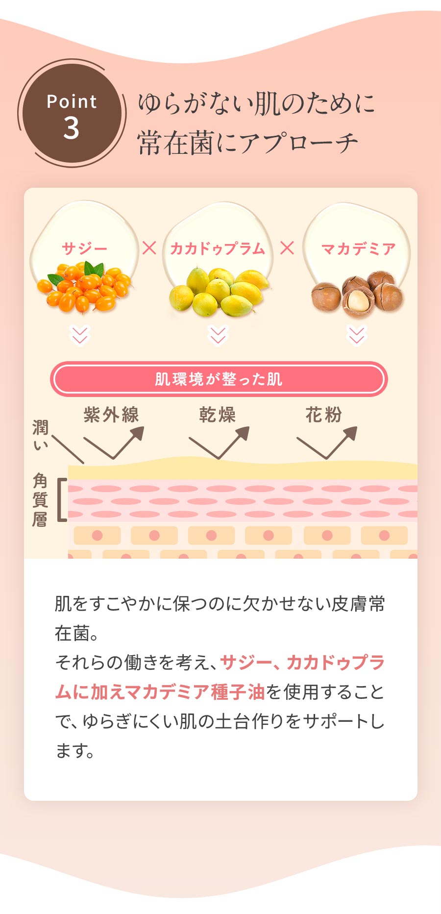 楽天市場】☆送料無料・初回返金保証付☆[オーガニック 乳液