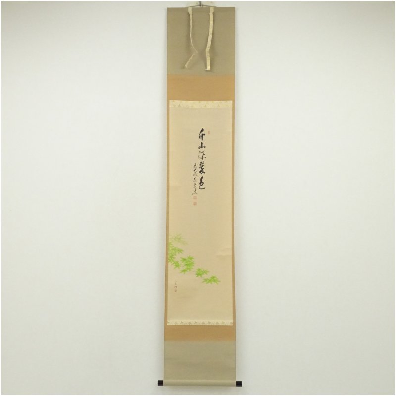 楽天市場】足立泰道の通販