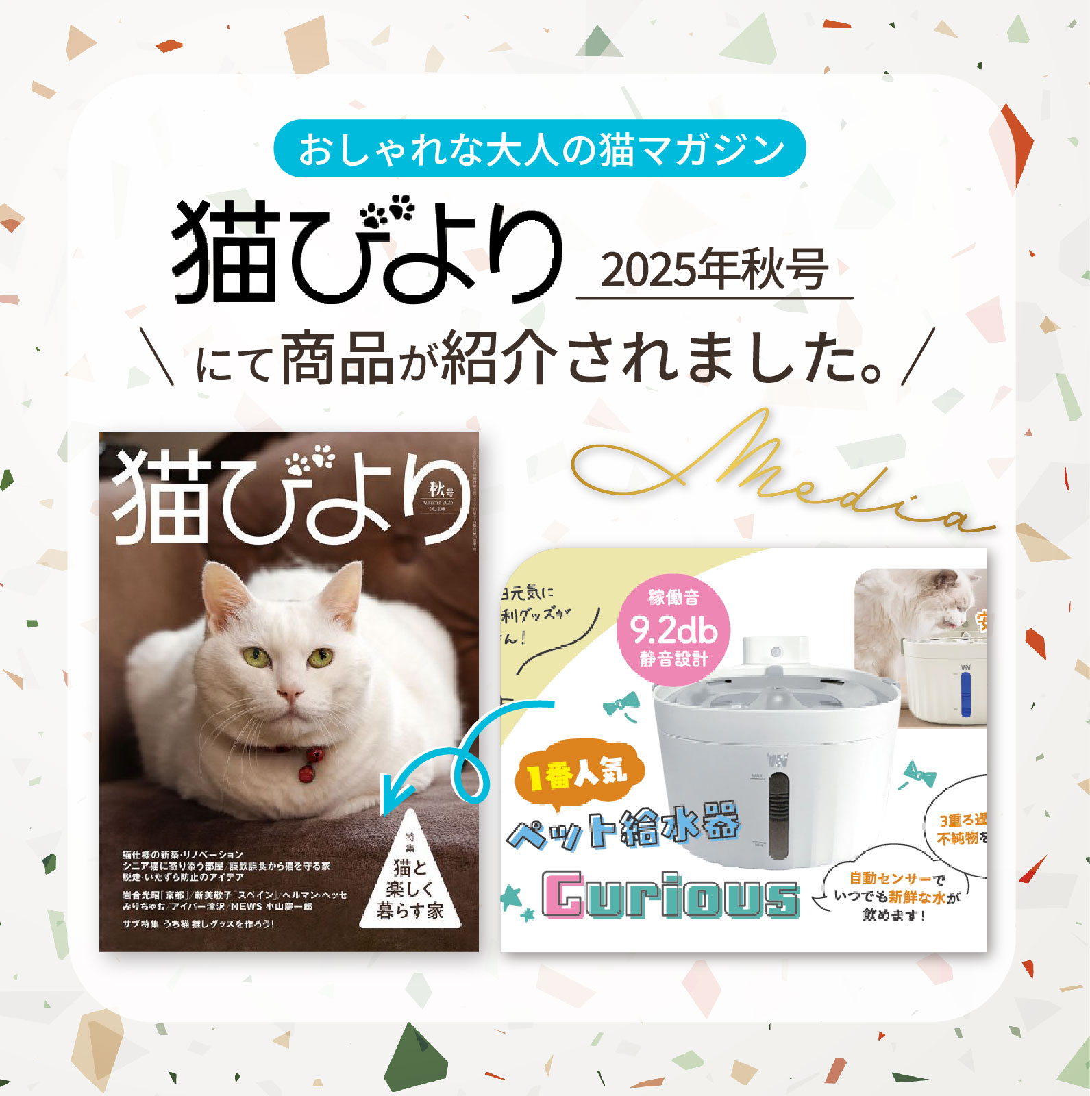 楽天市場】【楽天6冠達成】獣医師監修 ペット給水器 curious 正規品