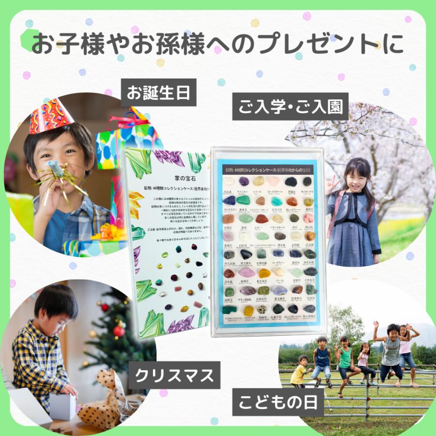 楽天市場】【エントリーでポイント10倍！】鉱物 標本 セット 図鑑 48