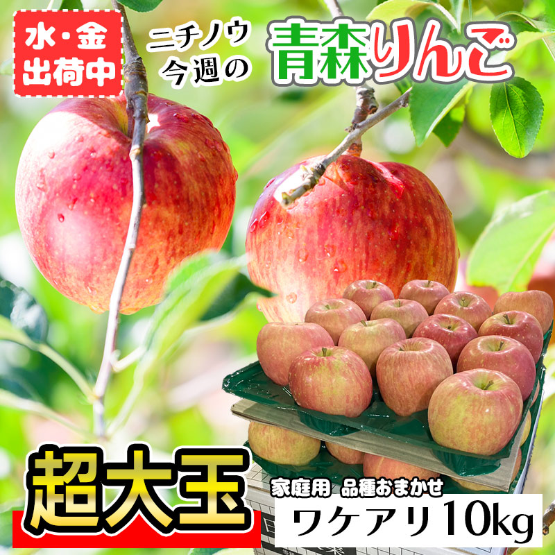 楽天市場】今週のニチノウ訳あり林檎 10kg 【超大玉】22～28玉 青森