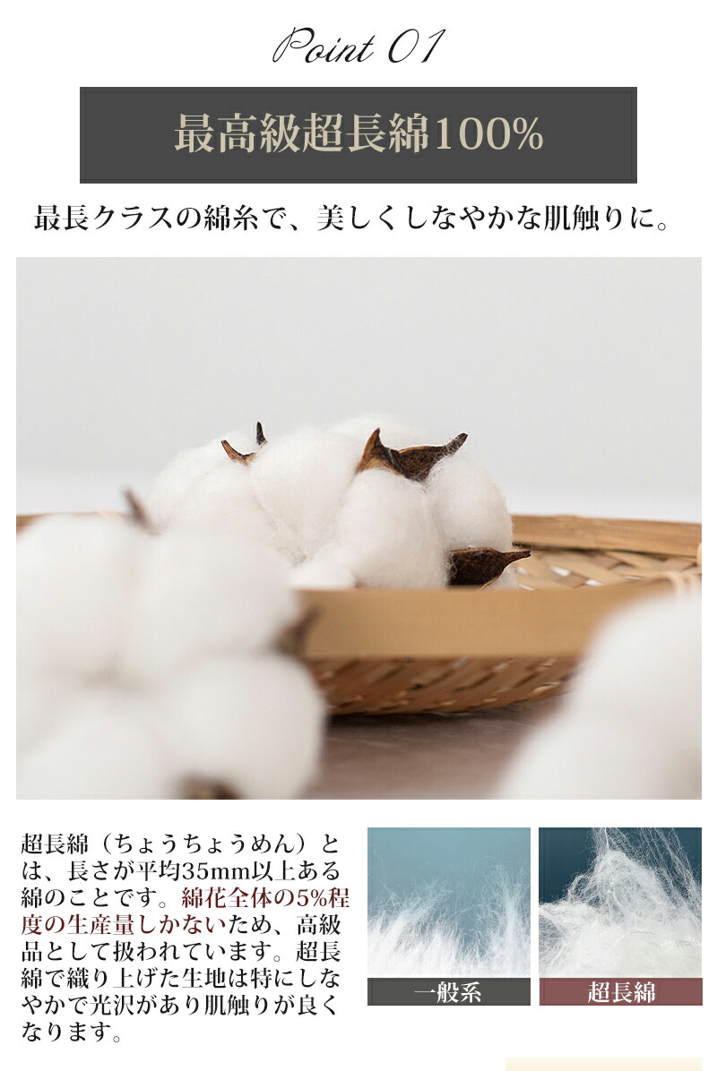 越前唐津焼】三好健太郎作 花入18センチ 割竹式登り窯