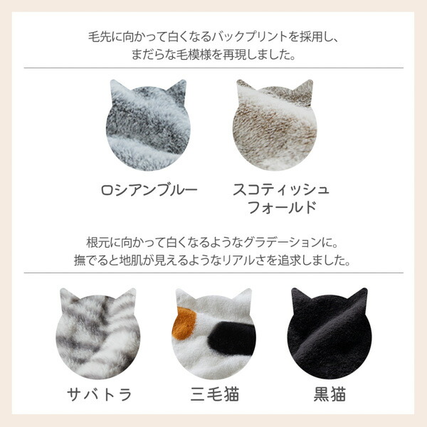 楽天市場】≪TVで紹介≫【猫Feel】まるで猫！のようなモフモフラウンド