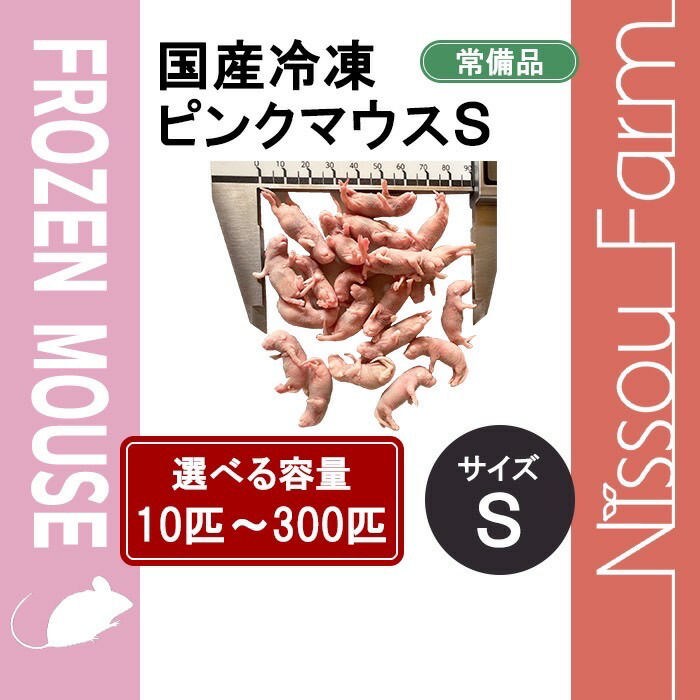 楽天市場】ピンクマウス ssの通販