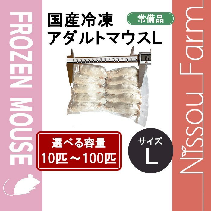 楽天市場】冷凍マウス アダルト sの通販