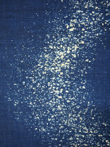 朝顔の麻布のれん一哉 朝顔の麻布のれん一哉 朝顔の麻布のれん一哉