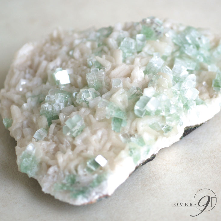 楽天市場】☆全品ポイント10倍☆2月10日(火)01時59分まで