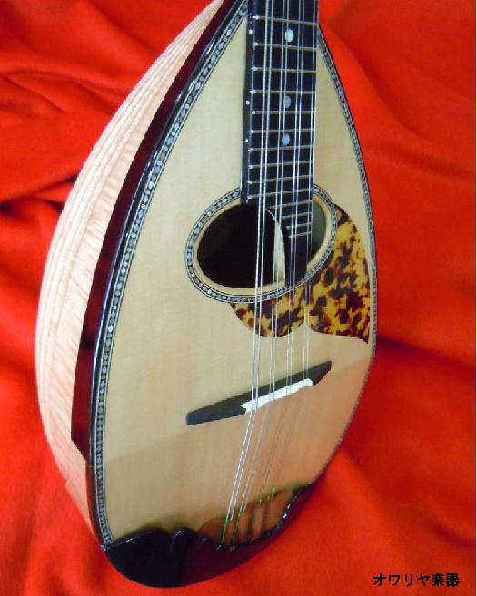 楽天市場】マンドリン 渦巻きヘッド・リブ胴 高級マンドリン : おかげ