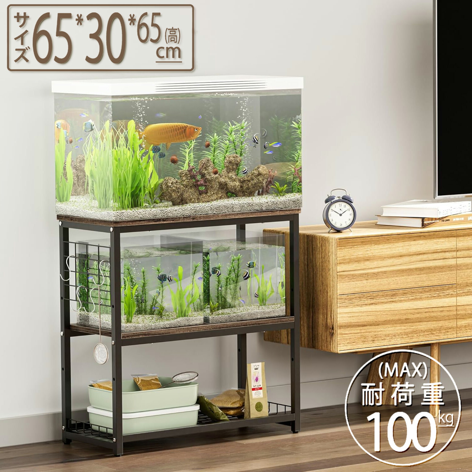 楽天市場】【ギフト応援SALE！10倍Px8％OFF】・楽天1位☆最強配送 1年