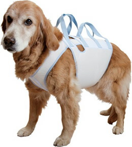 楽天市場】アイアンバロン ハーネスの通販