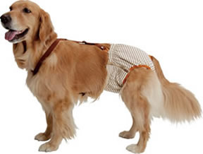 楽天市場】PETIO おむつパンツ（尻尾穴サイズ調節機能付）＜大型犬用