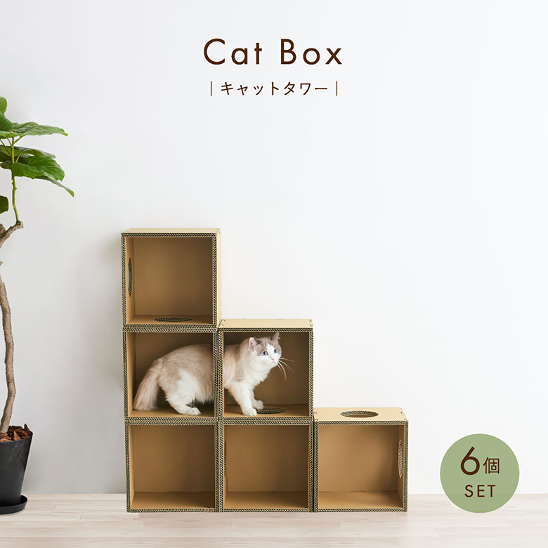 楽天市場】キャットボックス キャットタワー Cat Box【6個セット】猫