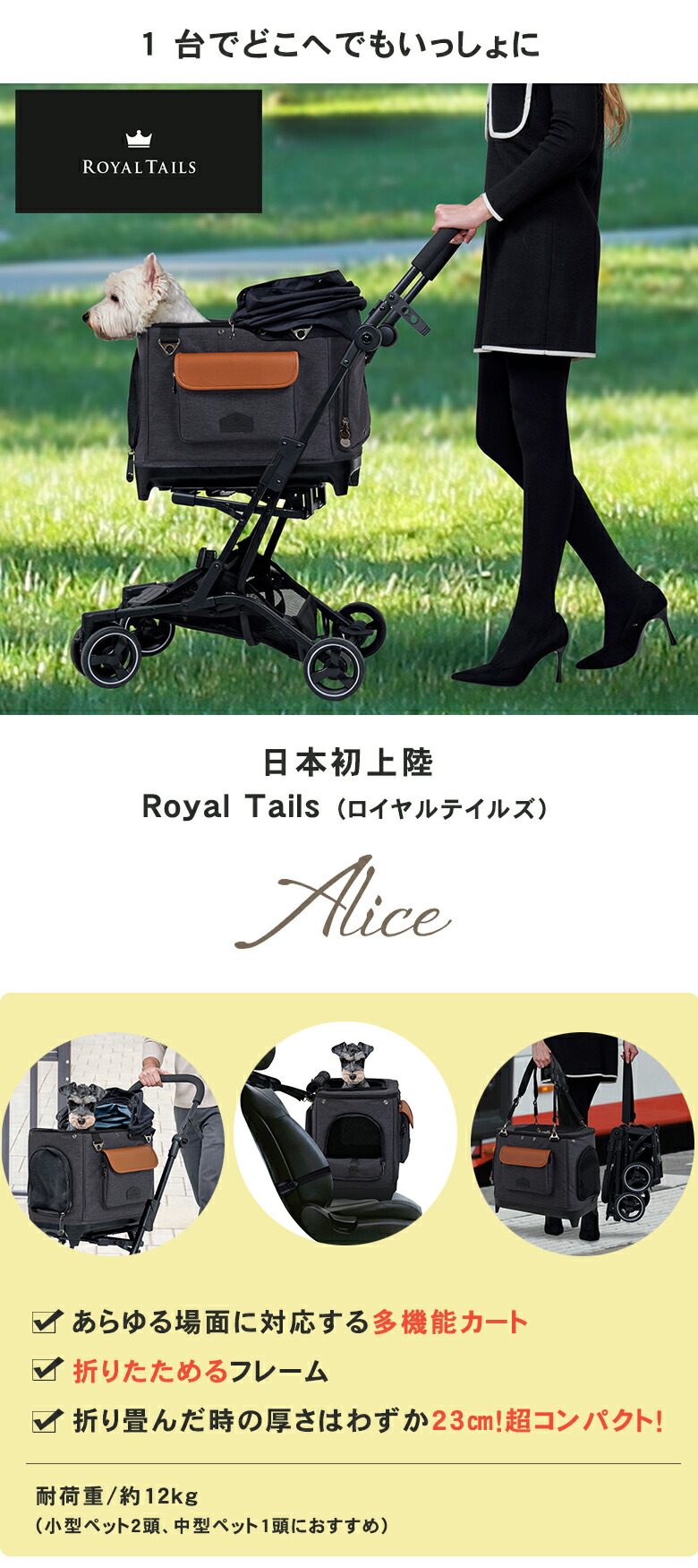 楽天市場】ROYAL TAILS Alice ロイヤルテイルズ アリス 7in1 多機能