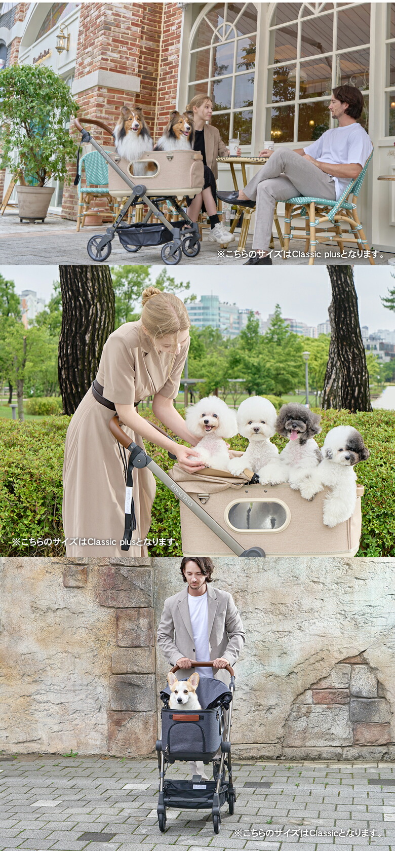 楽天市場】ROYAL TAILS Grace Classic Plus ロイヤルテイルズ グレイス