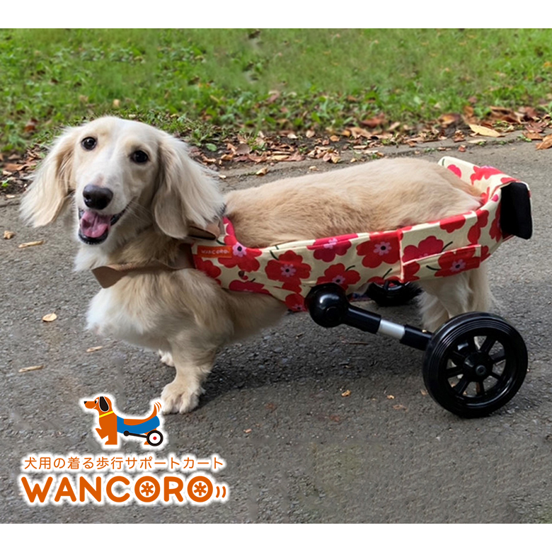 楽天市場】犬用車椅子 WANCORO ワンタッチ サイズ調整 小型 サポート