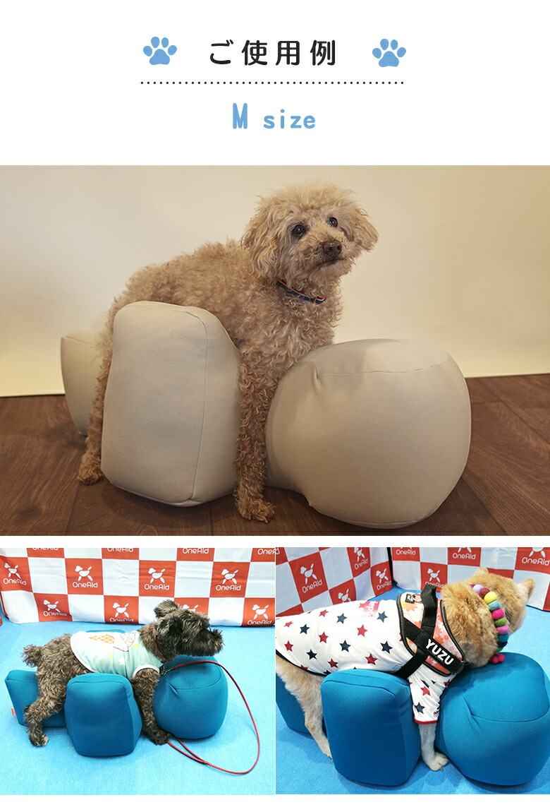 楽天市場】介護用クッション OneAid リラクッション Mサイズ 小型犬用