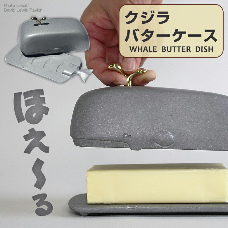 AKIRA缶バッジ AKIRAパスケース AKIRAレア AKIRA パスケース AKIRA缶