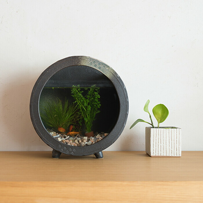 楽天市場】信楽焼 水槽22・ 31cm 和風水槽 金魚鉢 メダカ鉢