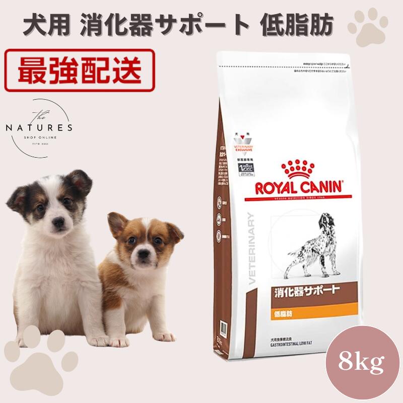 消化器サポート低脂肪 ロイヤルカナン 8kg」の人気商品一覧 | 安い商品