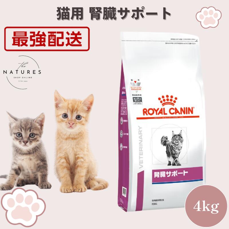 ロイヤルカナン 腎臓サポート 猫 4kg」の人気商品一覧 | 安い商品を