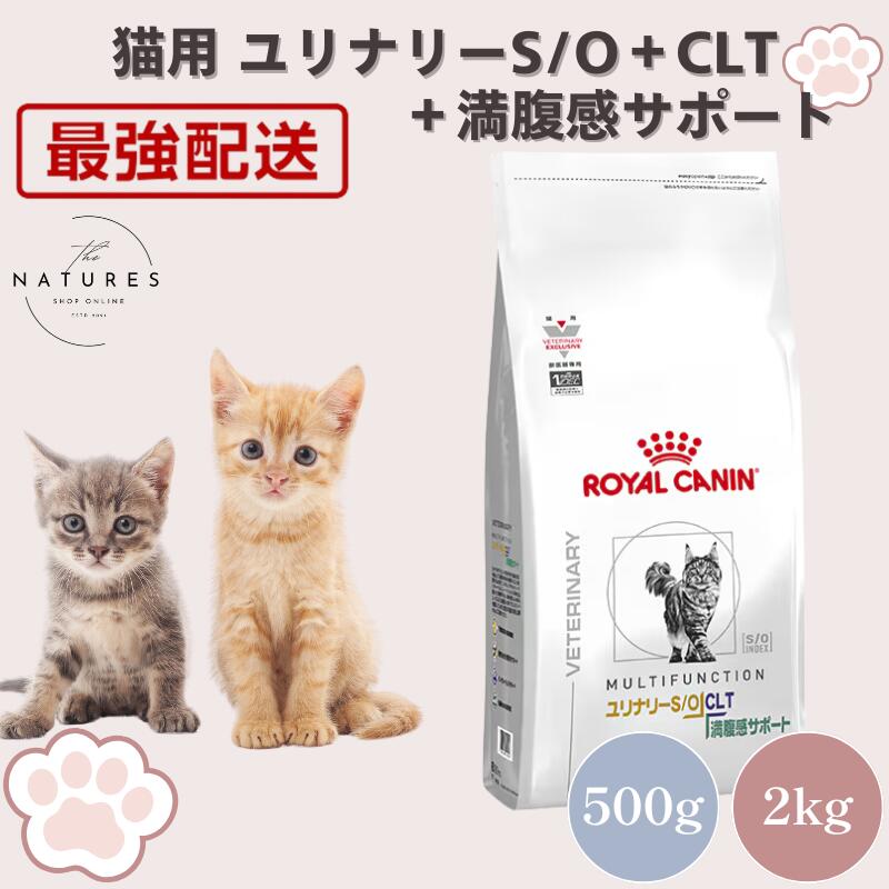 楽天市場】満腹感サポート 猫 2kg（ブランドロイヤルカナン