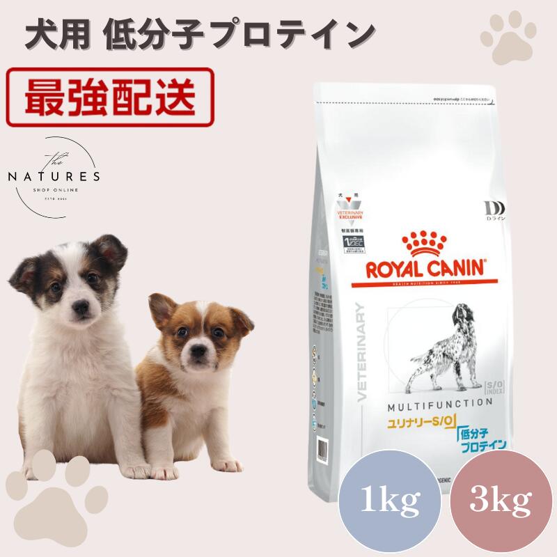 すもも様☆ ロイヤルカナン☆ユリナリーSO+低分子プロテイン3キロ