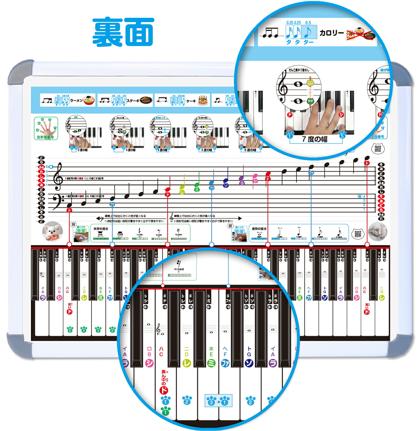 楽天市場】ドレミ階段ボード ドレミの階段音の階段 五線ボード 五線譜