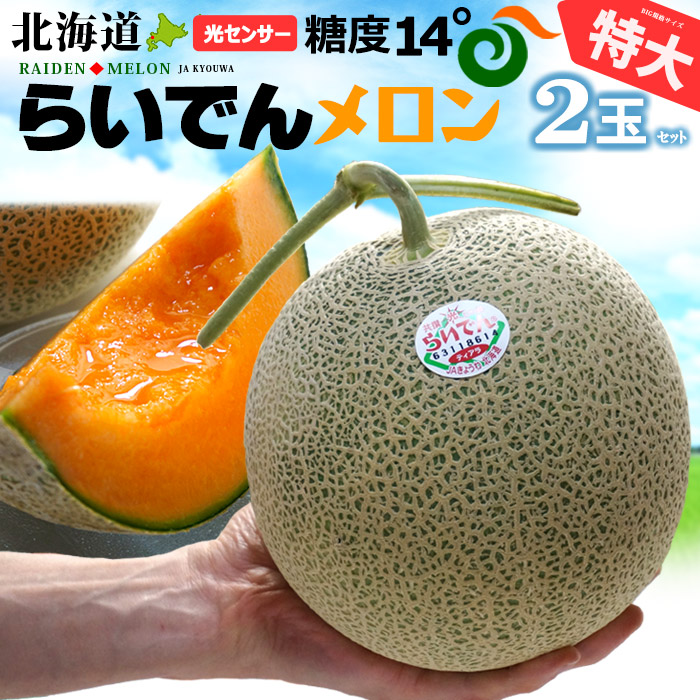 Bucephalandra sp.Red melon レッドメロン JB ブセファランドラ sp