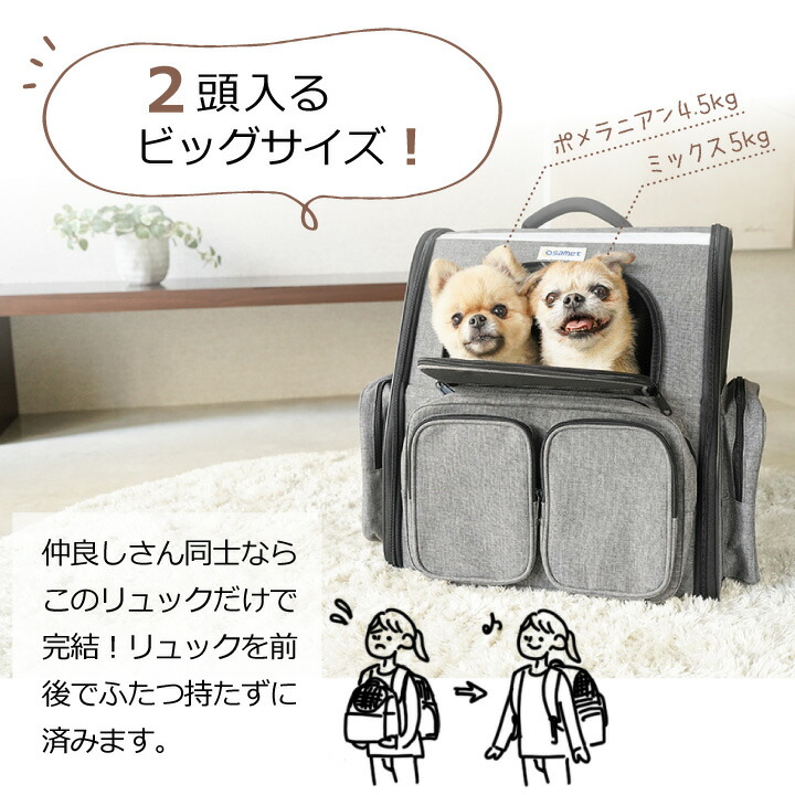 楽天市場】ペット用 リュック ロッジ 犬 猫 防災セット 1匹 2匹