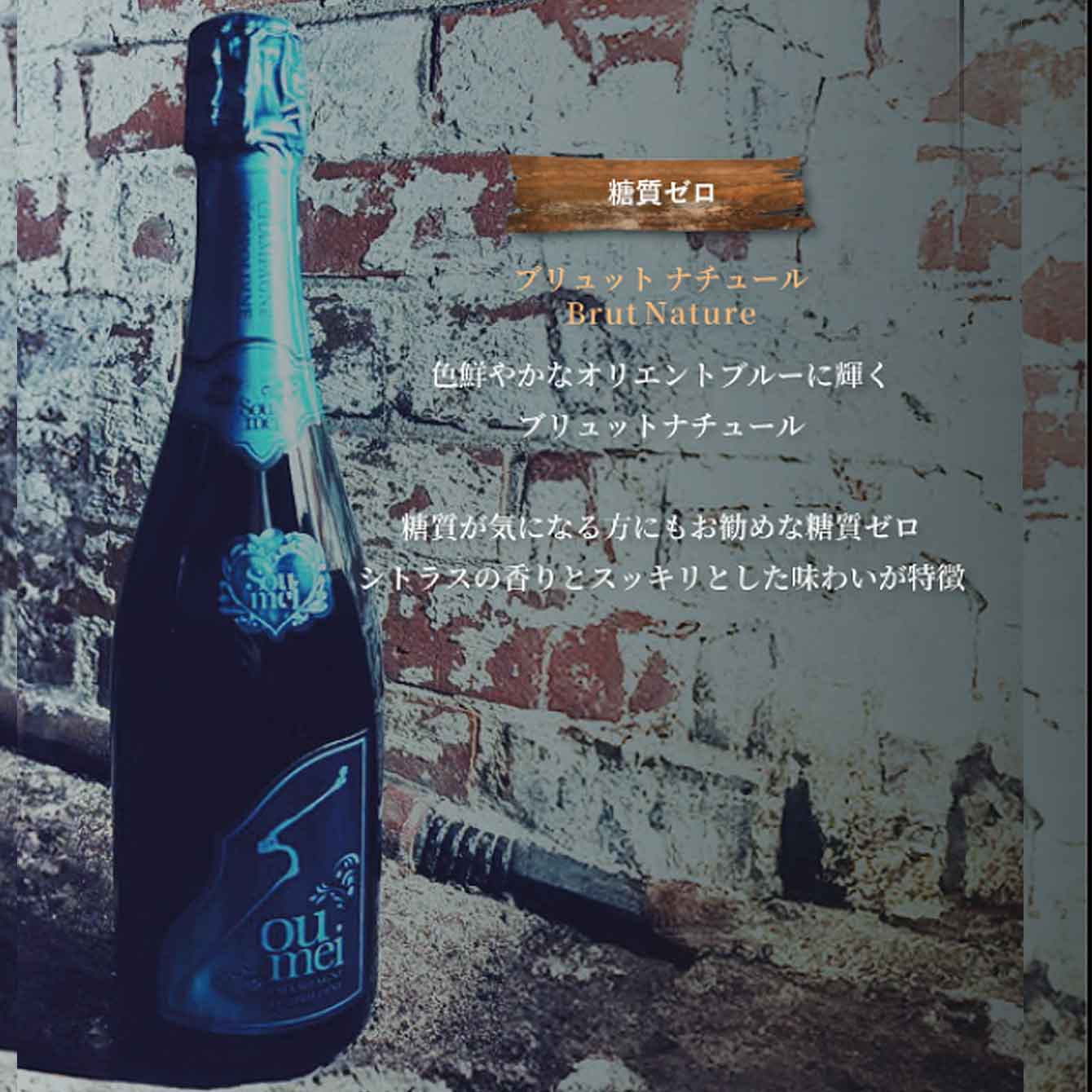 楽天市場】＊楽天ランキング受賞＊ ＜正規品＞ソウメイ アタッシュ6本