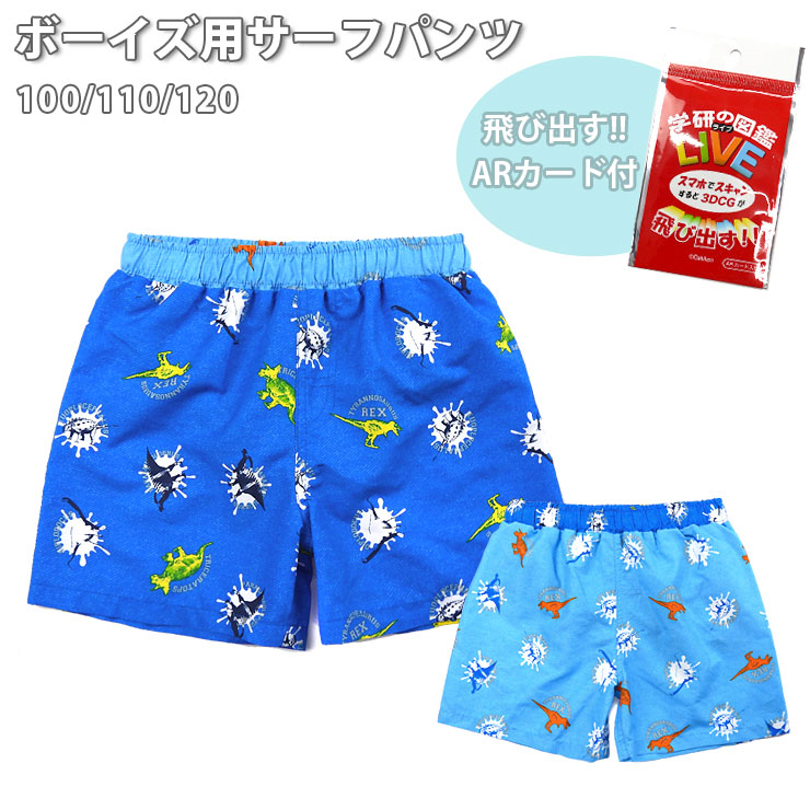楽天市場】キッズ 恐竜柄 サーフパンツ 水着 100 110 120 3795532