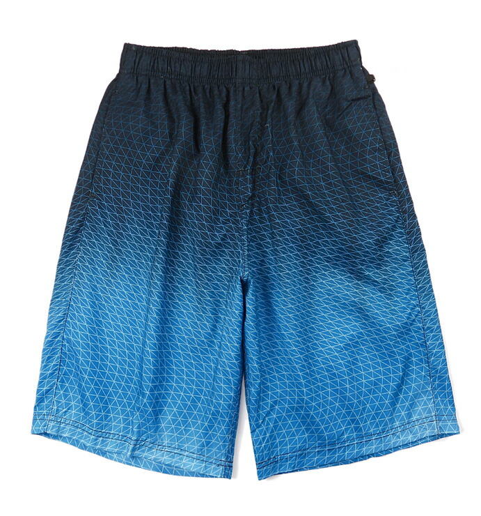 楽天市場】メンズ サーフパンツ 水着 M L LL スイムウェア 紳士用 海