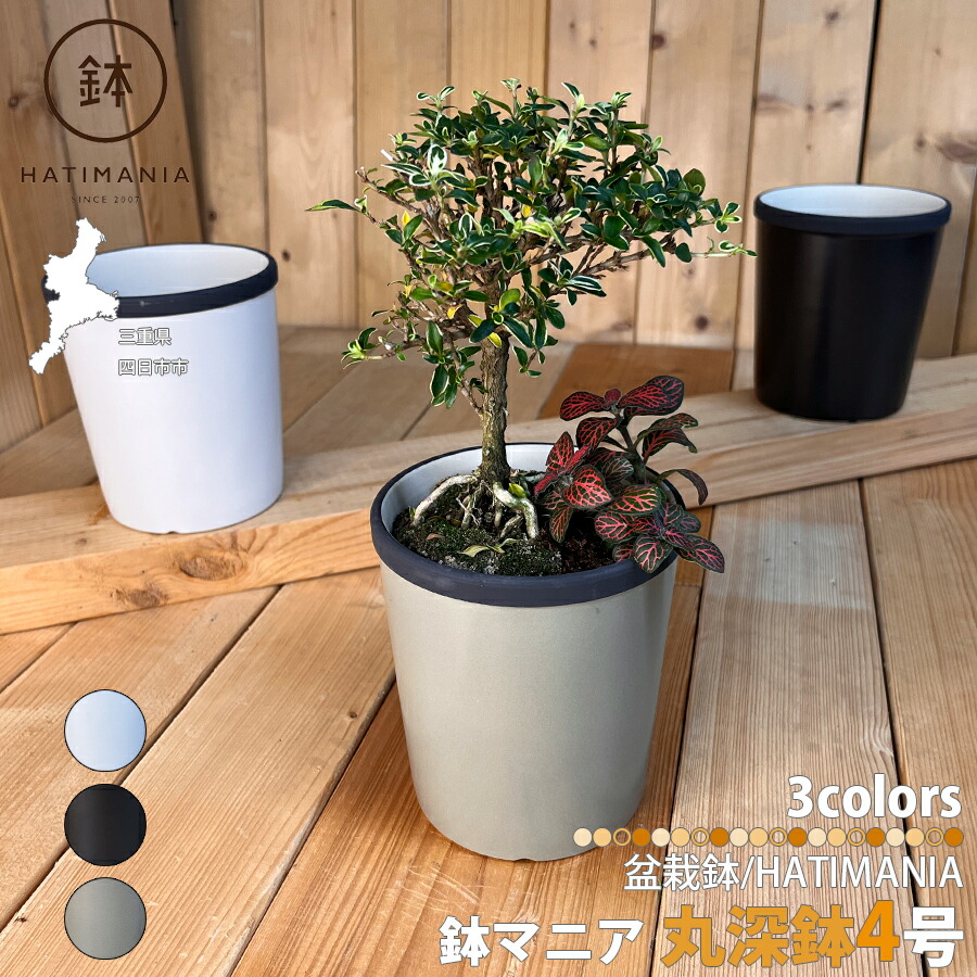 六角形紫砂鉢 青磁鉢 山野草鉢 多肉植物 植木鉢 小品大品盆栽鉢 陶器鉢