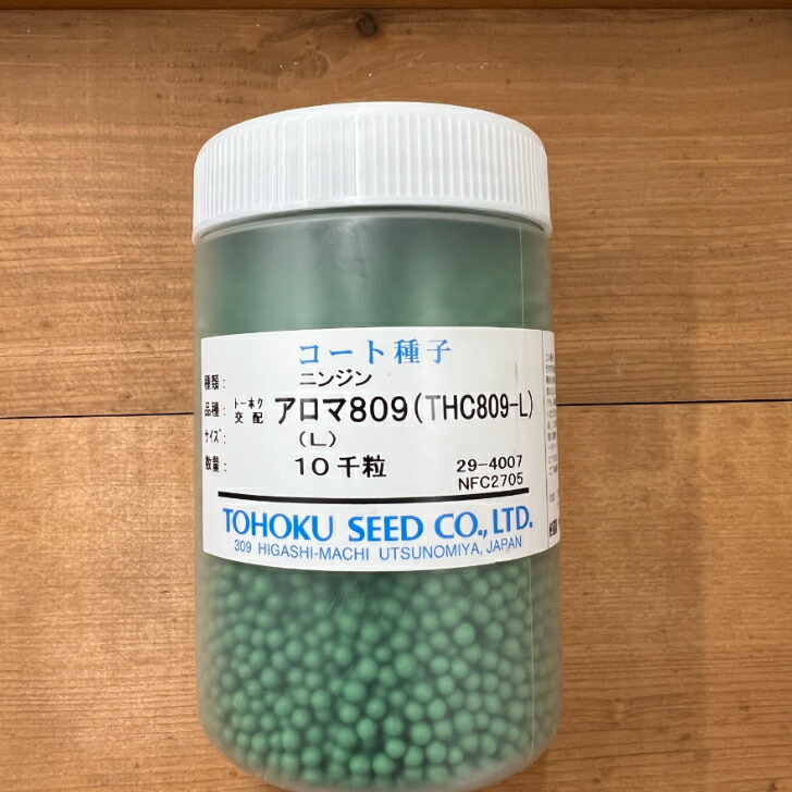 極上 人物 根付 タサオ 14g 東里8-0109☆2F 極上人物根付 タサオ 29g