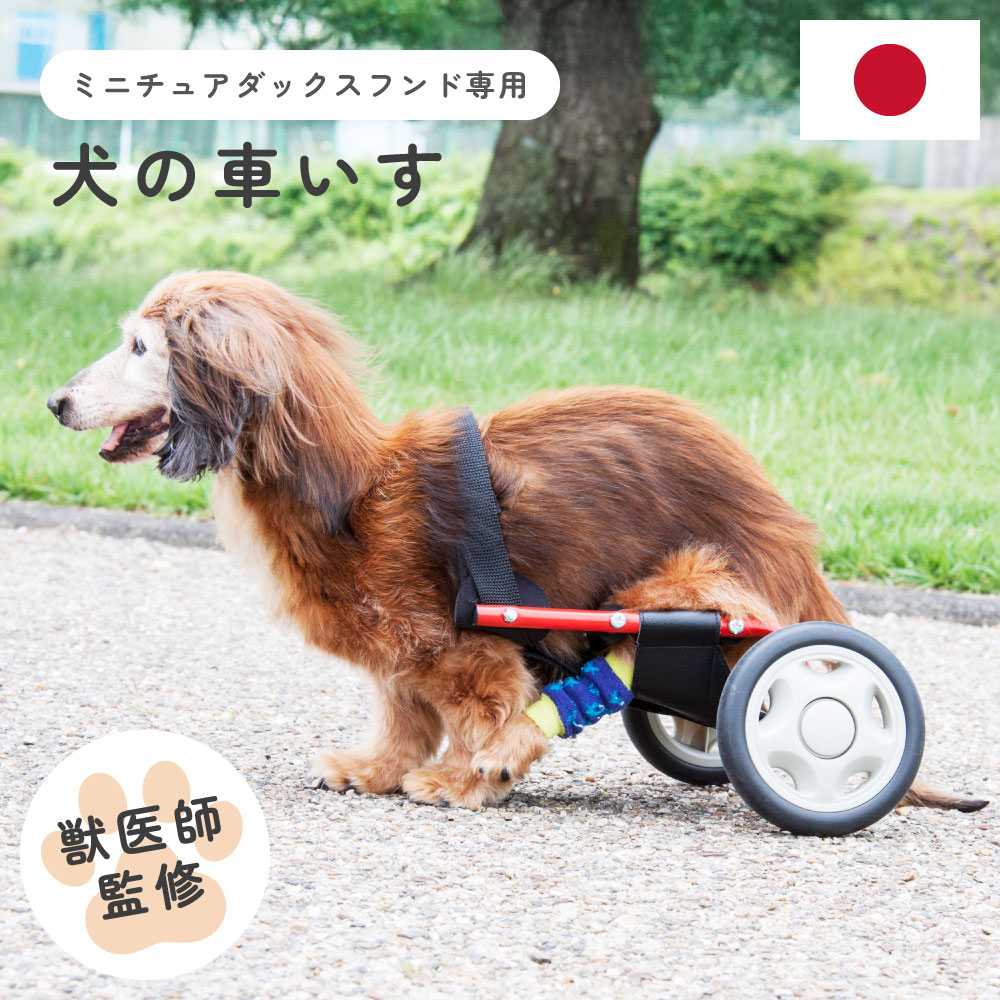 ドッグウォーカー 犬用車椅子 ミニチュアダックスフンド 専用 Amazon