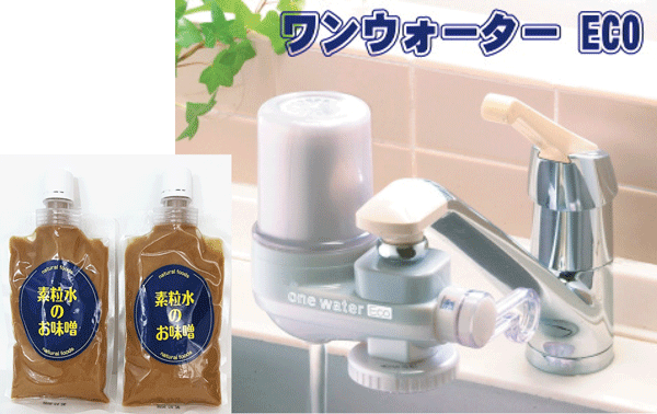 エコ ウォーターお買い得品 格安1000ml エコ ウォーターお買い得品