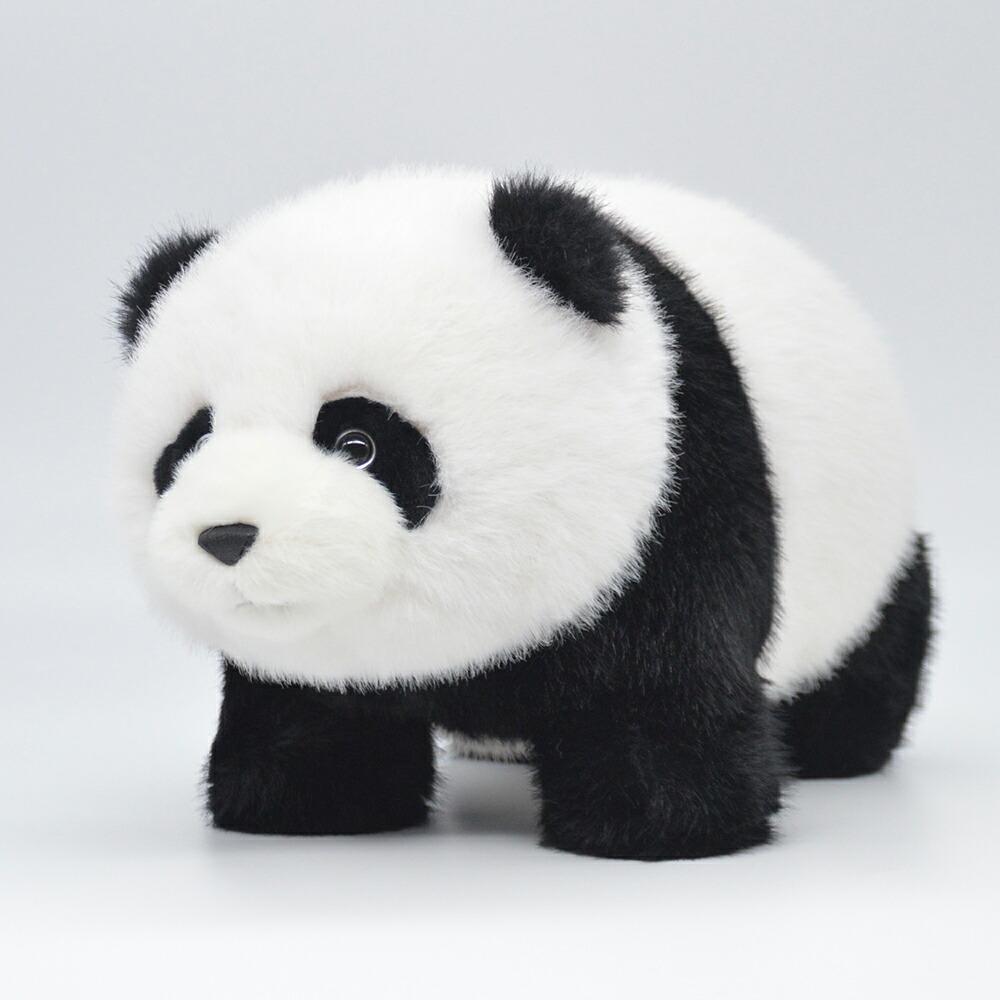 楽天市場】【ギフト対応無料】パンダ ぬいぐるみ かわいい 赤ちゃん