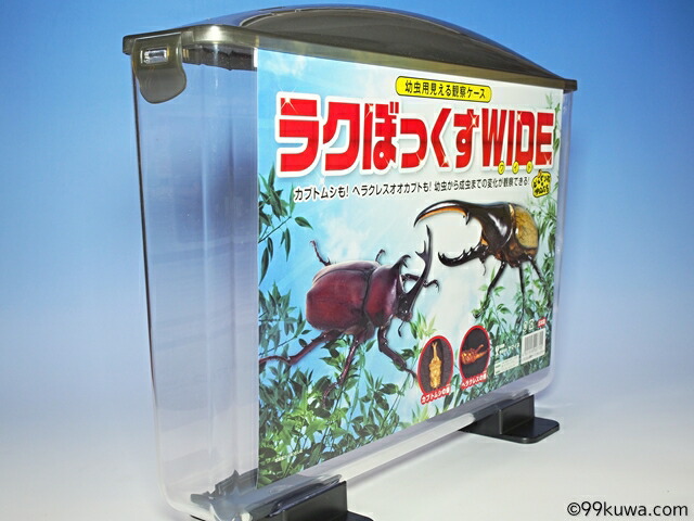 楽天市場】幼虫用見える観察ケース・ラクボックスワイド : 九十九里