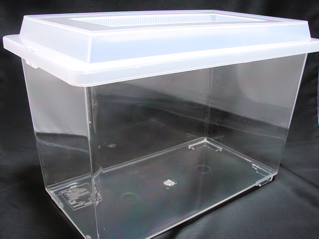 楽天市場】コバエ防止飼育ケース(大) スポンジフィルターなし クワガタ