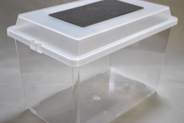 楽天市場】コバエ防止飼育ケース(中) スポンジフィルター付き クワガタ