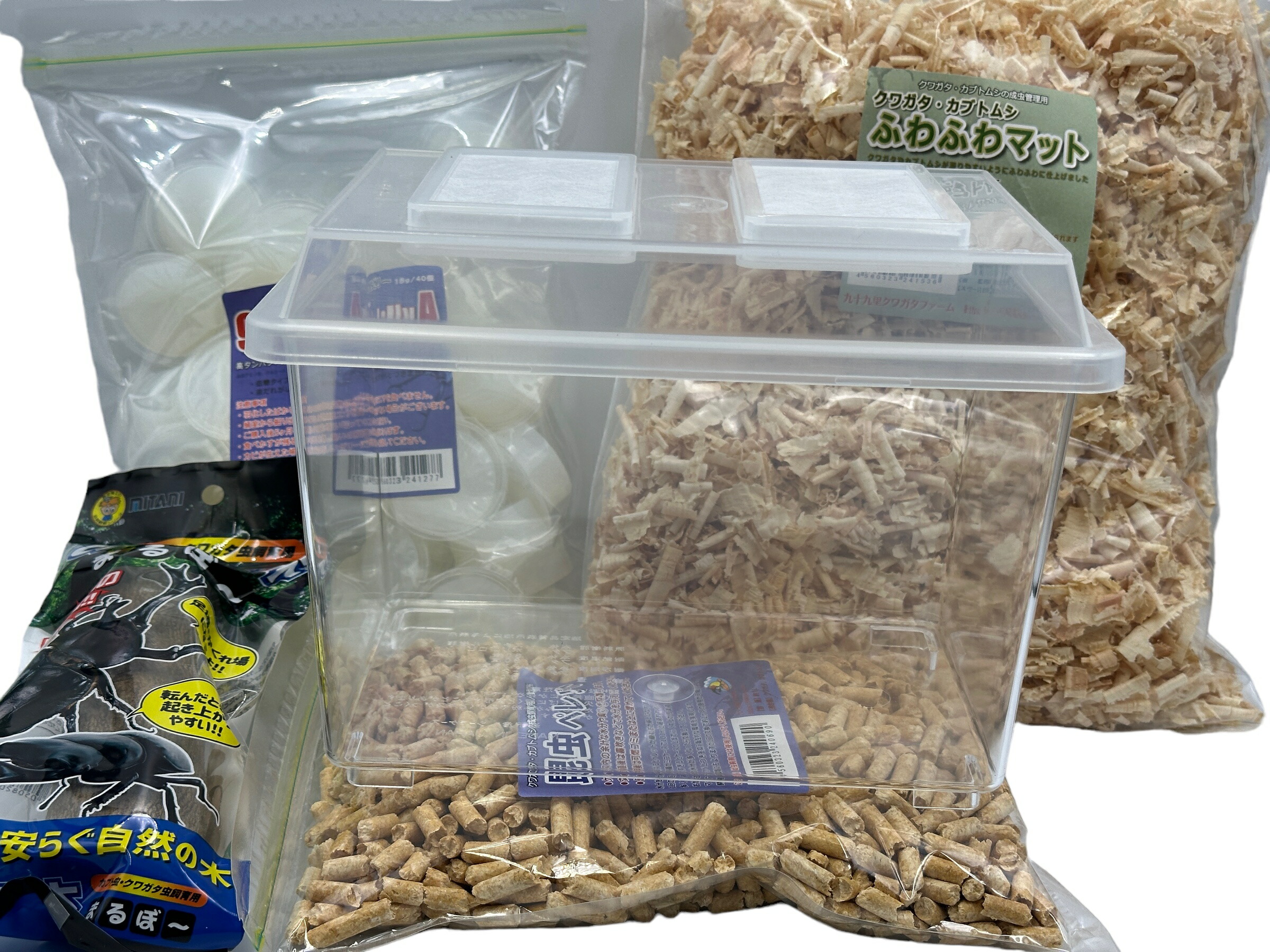 01112 カタゾウムシ 10種セットB 01112 カタゾウムシ 10種セットB