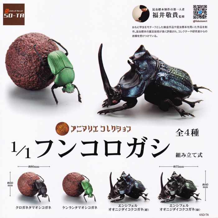 楽天市場】クロガネタマオシコガネ 【アニマリエコレクション 1／1