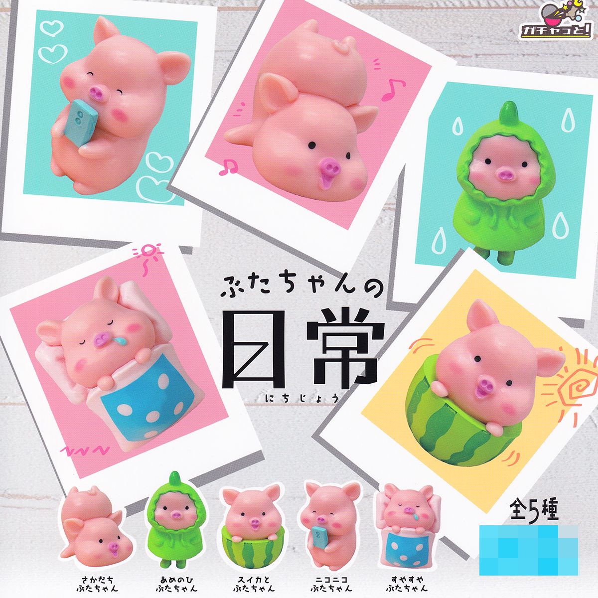 楽天市場】ぶたちゃんの日常 ブライトリンク 【全5種フルコンプセット