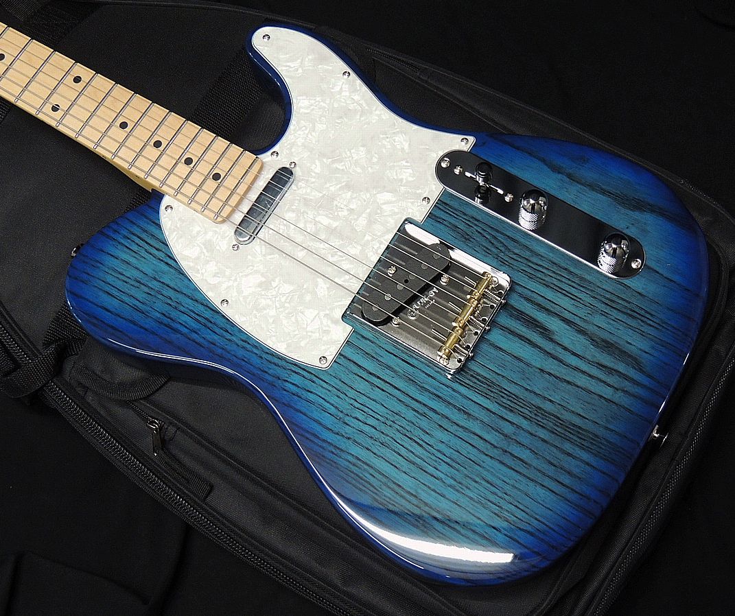 楽天市場】FGN FUJIGEN NTE100MAH SBB Neo Classic SERIES フジゲン