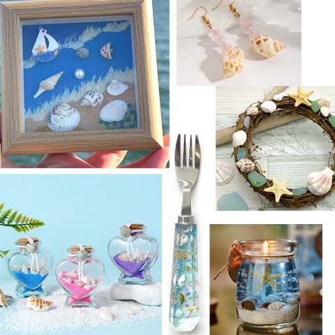 楽天市場】巻貝の貝殻 夏 マリン 海 サマー 夏休み 10g Kai-002